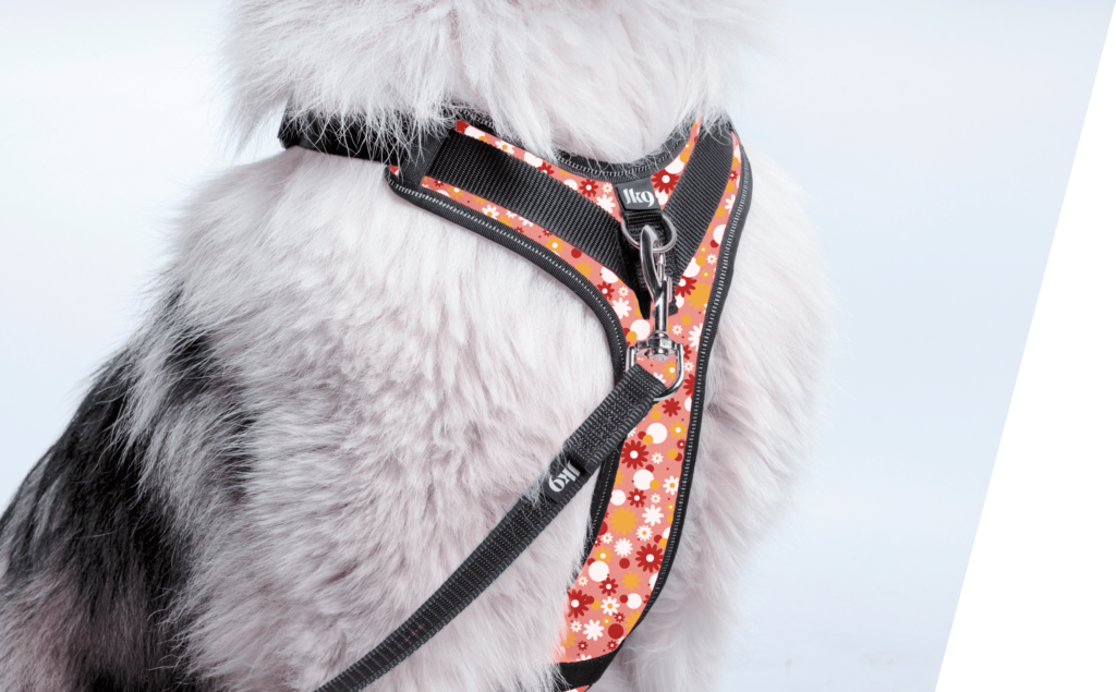 Hám viselése – vállöv szabad mozgása